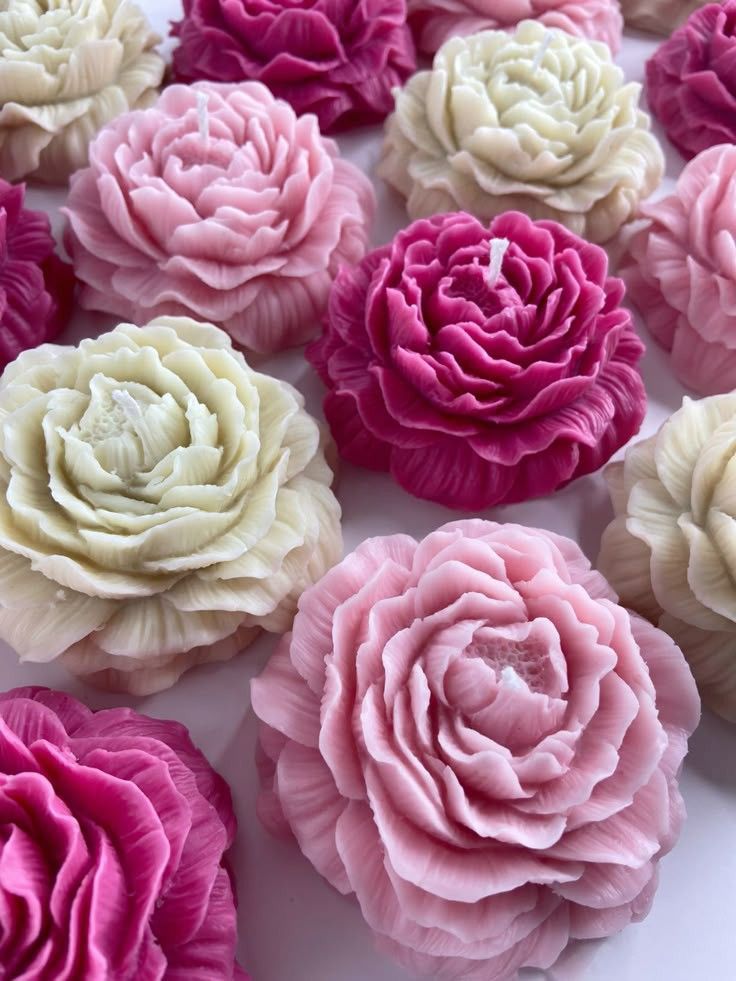 ِشمعة رِواق - جُوري