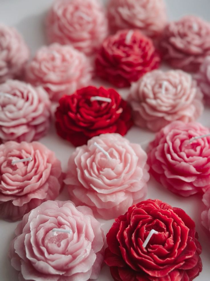 ِشمعة رِواق - جُوري