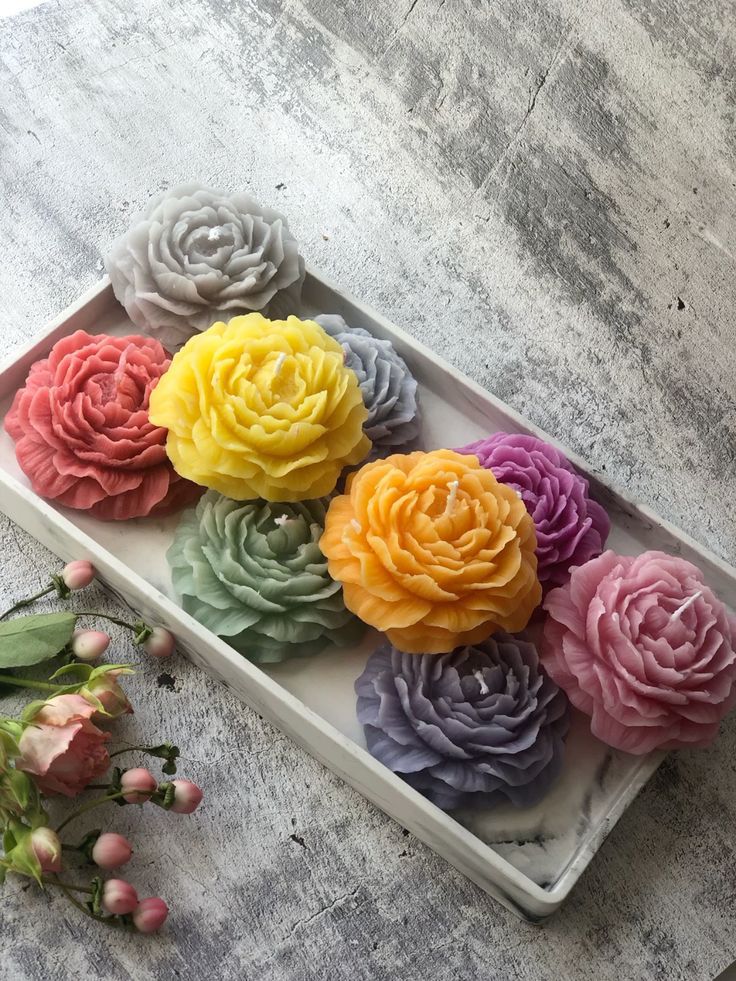 ِشمعة رِواق - جُوري